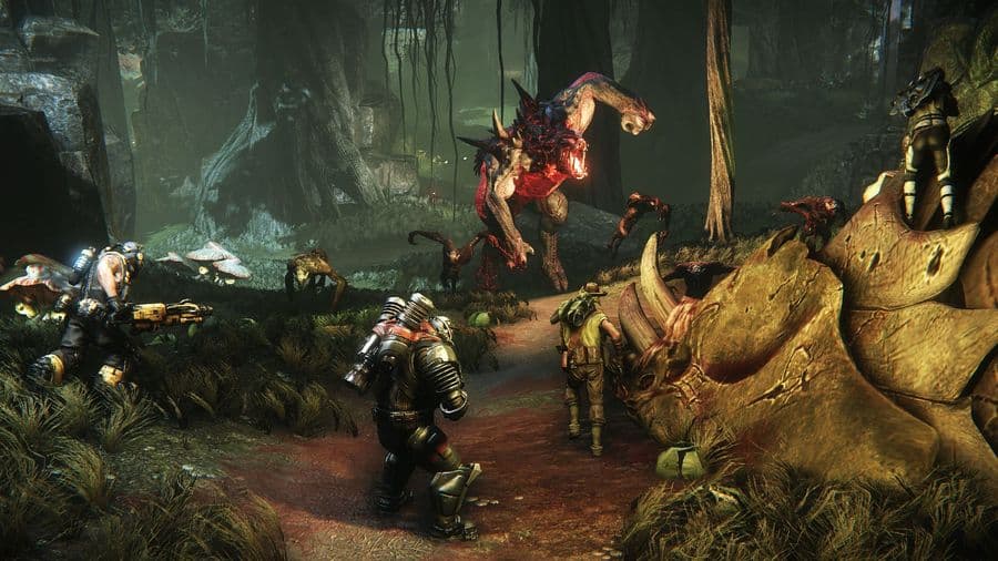 What To Expect From Evolve