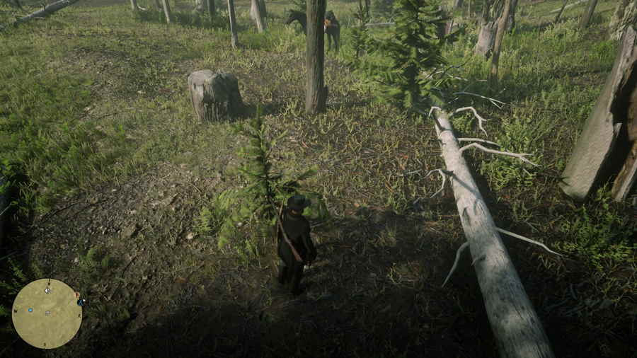 Red Dead Online Blackbone Forest Treasure 3 1